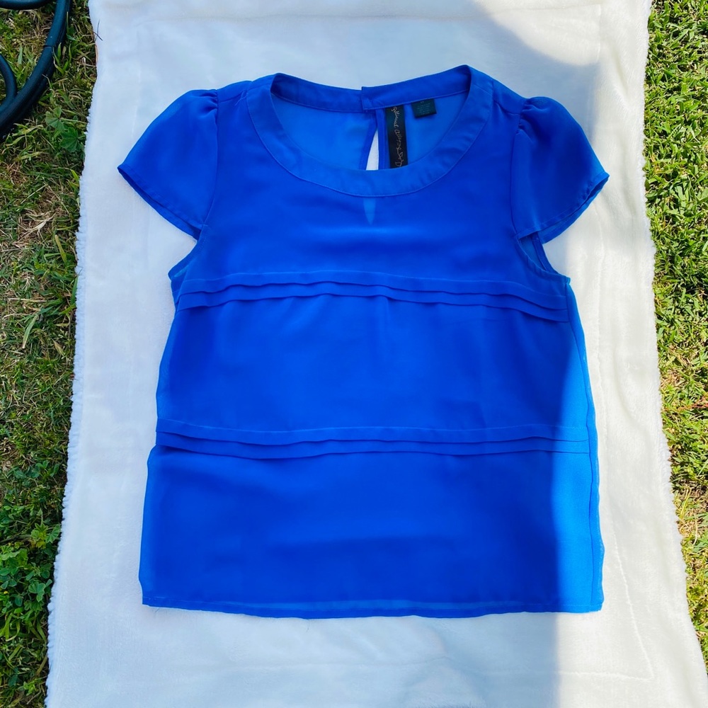 Petticoat Alley Blue Sheer Blouse